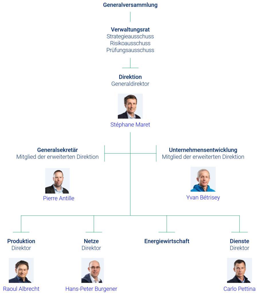 Organigramm FMV - 2025