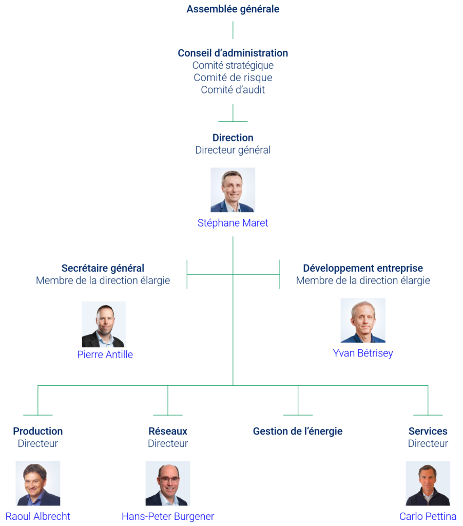 Organigramme FMV 2025